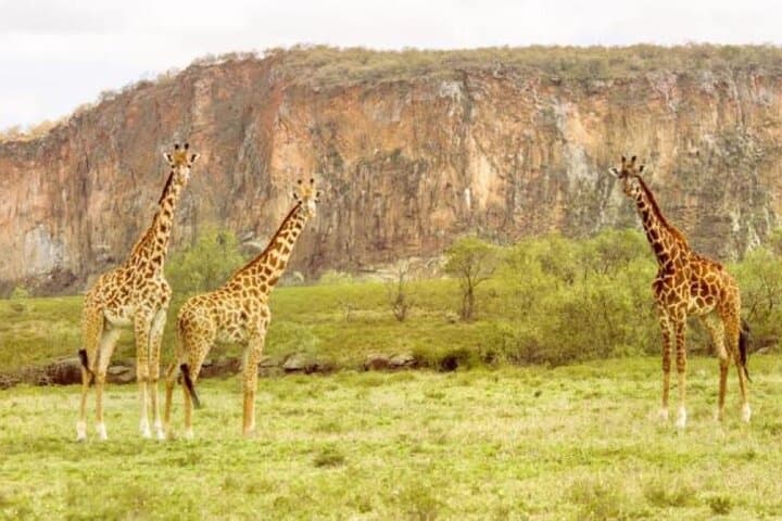 2-Day Safari: Biking Hell’s Gate & Game Drives at Lake Nakuru photo 5