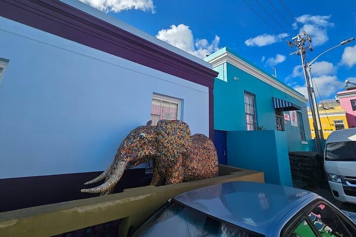 Full-Day Cape Peninsula Tour from Cape Town — Cape Point, Boulders Beach & Chapman's Peak photo 4