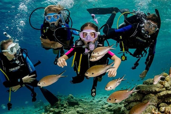 Introductory Scuba Diving in Fethiye: Turquoise Coast Dives with a Professional Instructor photo 6