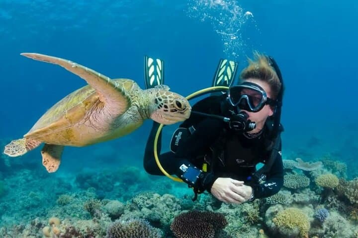 Introductory Scuba Diving in Fethiye: Turquoise Coast Dives with a Professional Instructor photo 5