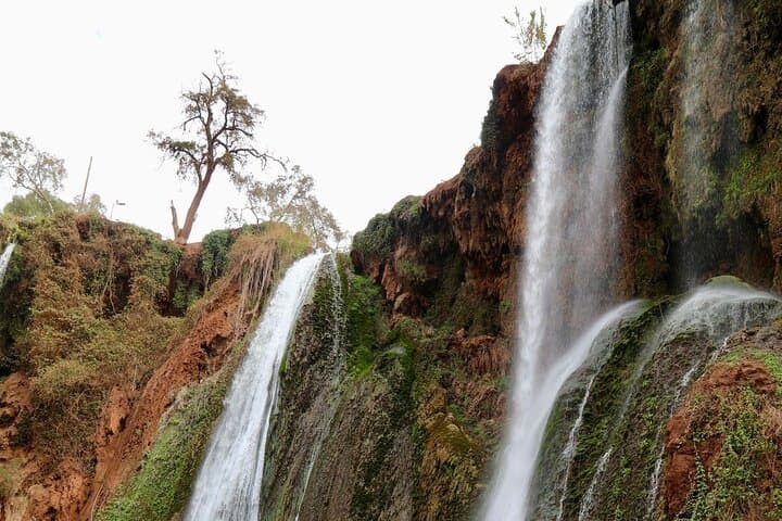 Ouzoud Waterfalls Day Trip from Marrakech: Small-Group Guided Tour & Boat Ride photo 6