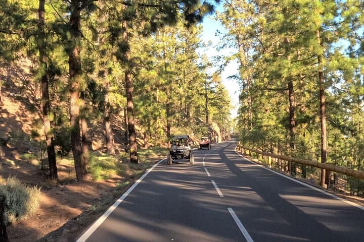 Buggy Tour to Mount Teide: Explore Teide National Park by Buggy photo 4