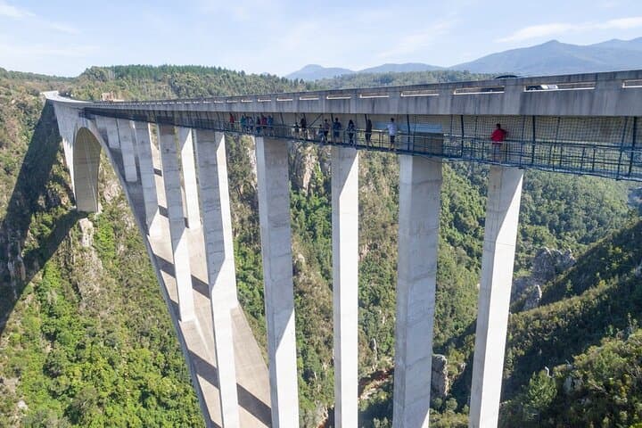 Bloukrans Bridge Zipline, Hangout & SkyWalk Adventure — Thrill Without the Bungy photo 3