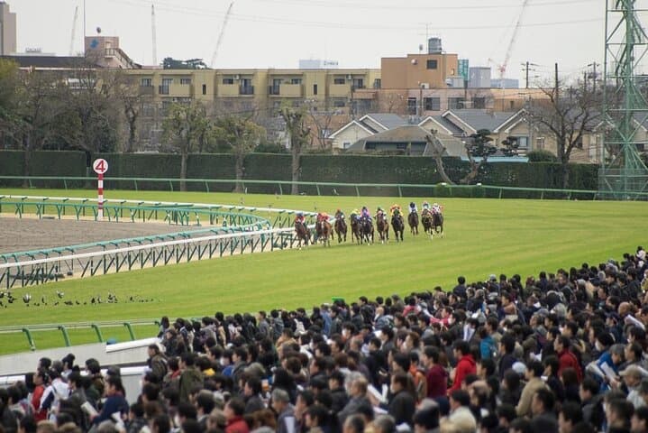 Nakayama Racecourse: Tokyo Horse Racing Tour with Local Fans photo 3