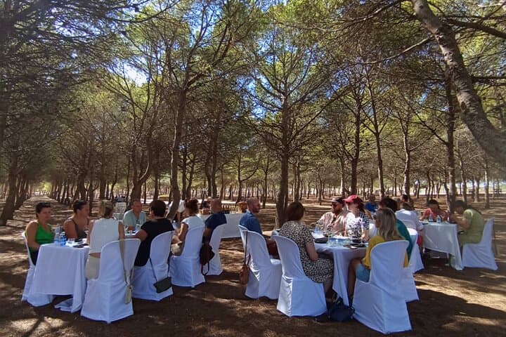 Wine Route Through La Mata Natural Park: Tasting & Local Pairings in Torrevieja photo 6