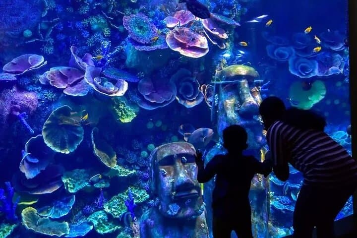 National Aquarium Abu Dhabi All-Access Entry — Plan Your Visit photo 2