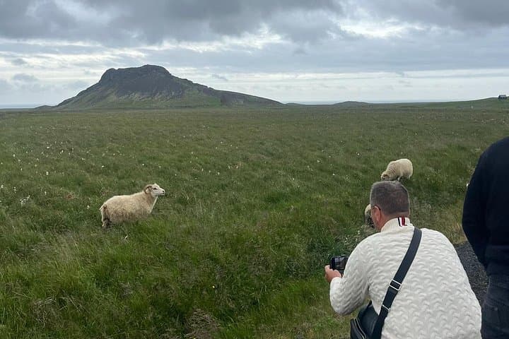 Reykjanes Peninsula Private Tour — Geothermal Wonders & Coastal Cliffs