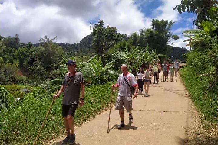 Day Hike to Doi Inthanon: Chiang Mai’s High Peak, Twin Stupas & Waterfalls photo 4