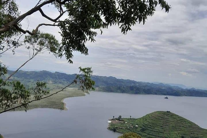 10-Day Uganda Gorilla, Chimpanzee & Wildlife Safari — Bwindi, Kibale, Queen Elizabeth & Murchison photo 4