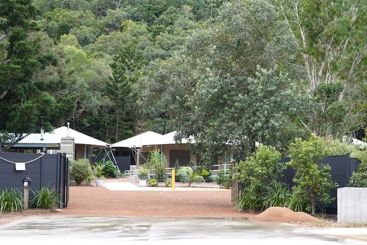 Magnetic Island Glamping Resort — Rainforest, Wallabies & Forts Walk photo 3