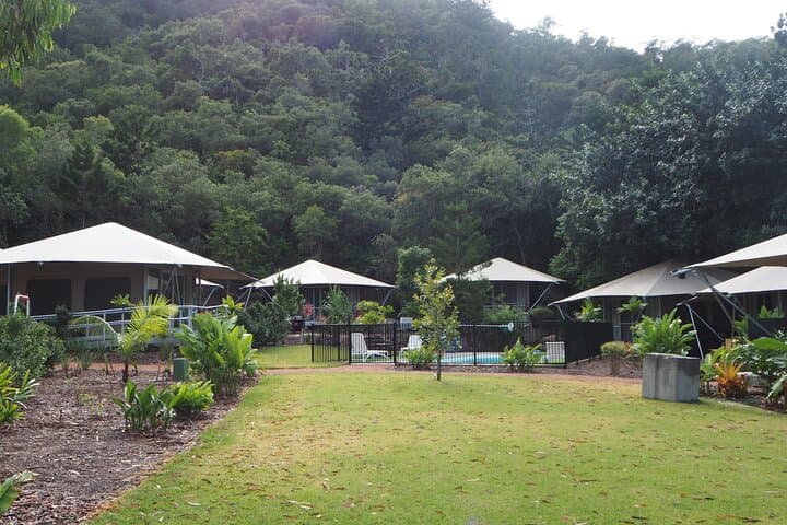 Magnetic Island Glamping Resort — Rainforest, Wallabies & Forts Walk photo 5