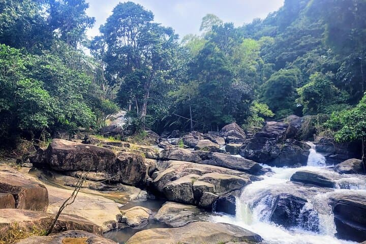 Customize Your Day: 5 Thematic Routes to Discover Puerto Rico photo 5