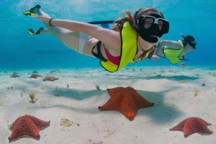 Roatán 3-Stop Snorkel: Starfish, Blue Channel & Turtle Crossing Experience photo 6
