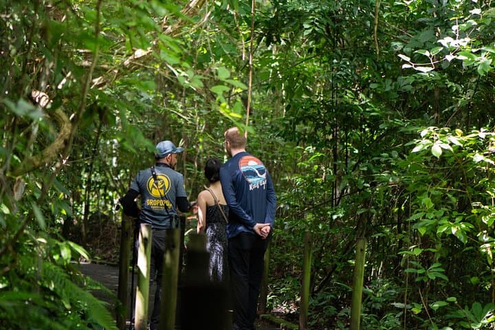 Carara National Park & Tárcoles River: Crocodiles, Scarlet Macaws and Tropical Trails from San José photo 3