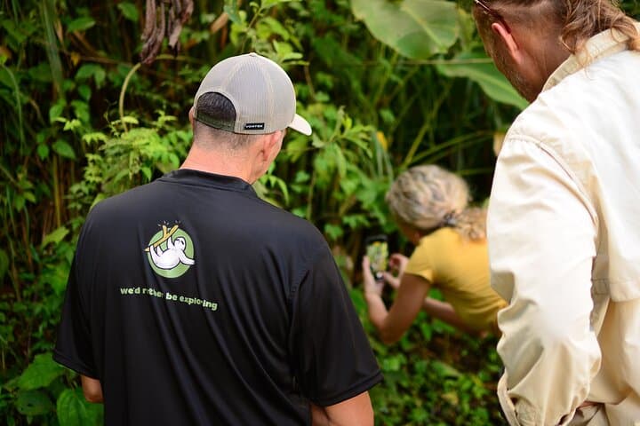Half-Day Hanging Bridges & La Fortuna Waterfall Tour — Arenal Rainforest Experience photo 4