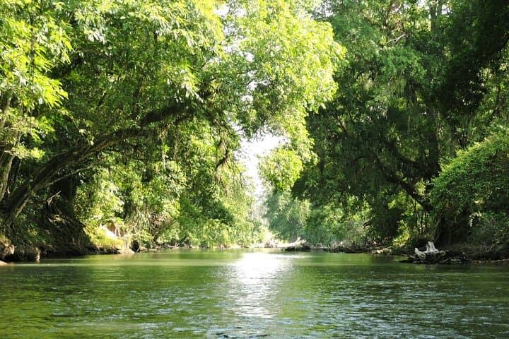 Arenal River Safari Float and La Fortuna Waterfall Half-Day Tour photo 5