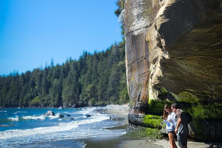 West Coast Rainforest, Waterfalls & Beaches: Port Renfrew Wildlife Day Tour photo 4