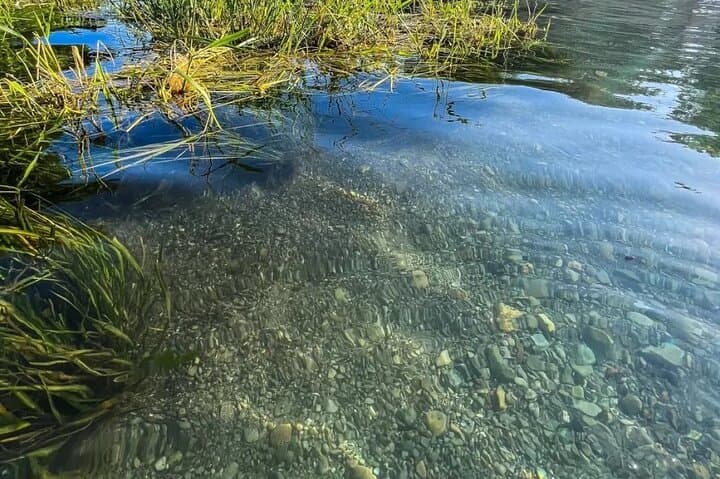 Clear Kayaking the San Marcos Springs: Glass-Bottom River Day Tour photo 3