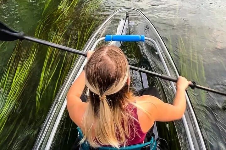 Clear Kayaking the San Marcos Springs: Glass-Bottom River Day Tour photo 4