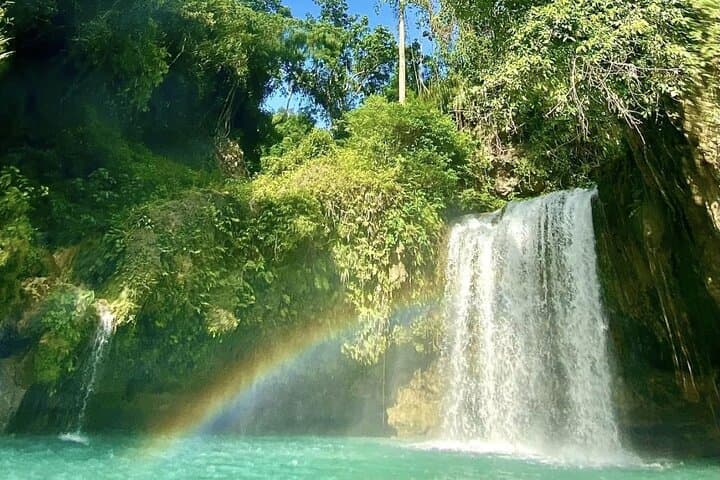 Moalboal & Badian Ultimate Adventure: Sardine Run, Turtle Snorkel and Kawasan Canyoneering photo 4