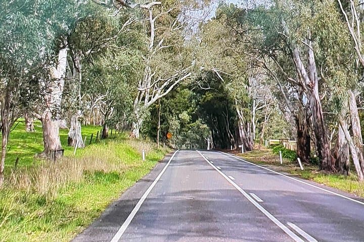 Half-Day Adelaide to Hahndorf: Central Market, Mount Lofty & German Village Highlights photo 2