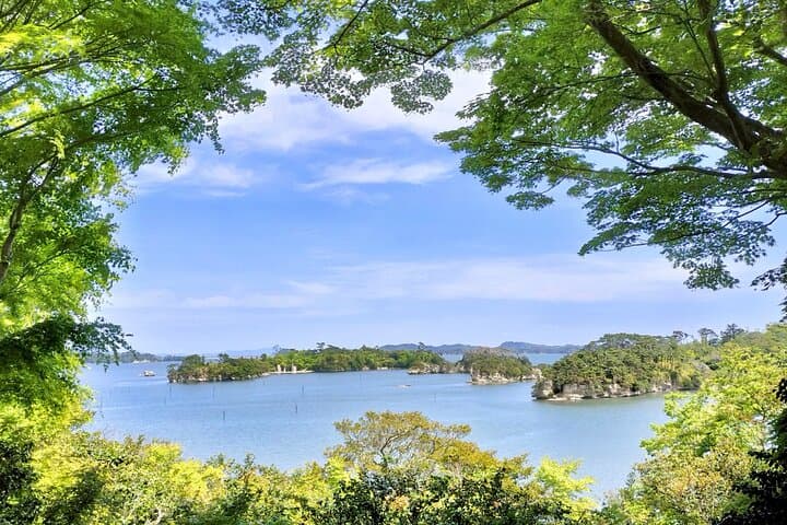 Matsushima Bay Guided Sightseeing Tour: Islands, Temples & Oysters photo 4