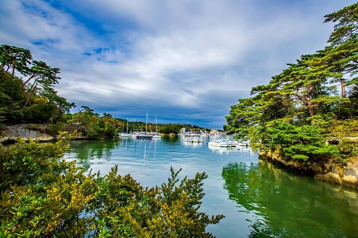Matsushima Bay Guided Sightseeing Tour: Islands, Temples & Oysters photo 5