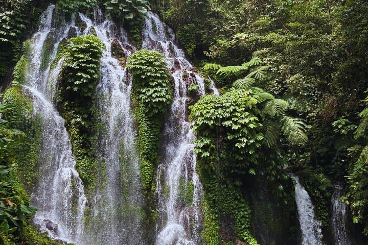 North Bali Waterfall Tour — Private Full‑Day Adventure to Leke-Leke, Munduk & Banyumala