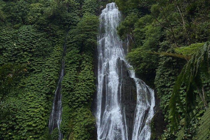 North Bali Waterfall Tour — Private Full‑Day Adventure to Leke-Leke, Munduk & Banyumala photo 3