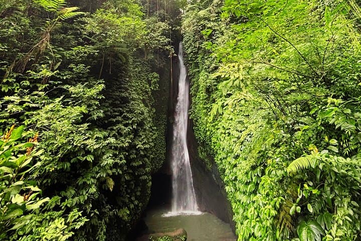 North Bali Hidden Treasure Tour — Waterfalls, Cacao & UNESCO Rice Terraces photo 3