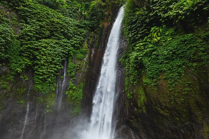 North Bali Waterfall Tour — Private Full‑Day Adventure to Leke-Leke, Munduk & Banyumala photo 6
