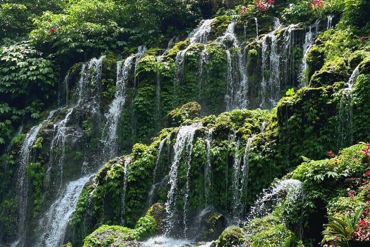 North Bali Waterfall Tour — Private Full‑Day Adventure to Leke-Leke, Munduk & Banyumala photo 2