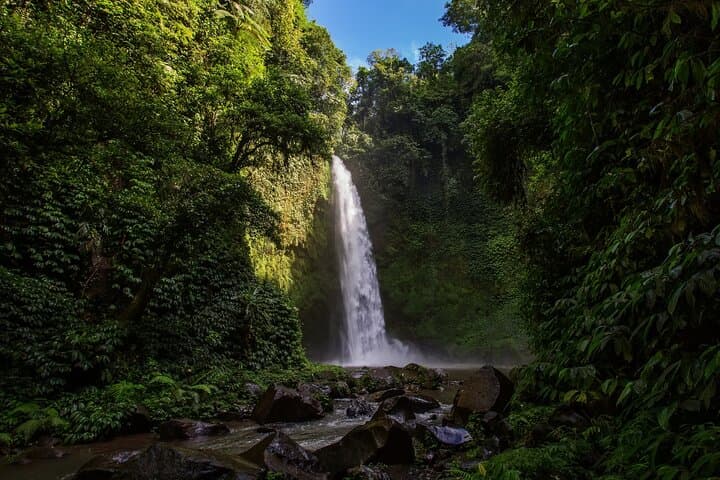 North Bali Hidden Treasure Tour — Waterfalls, Cacao & UNESCO Rice Terraces photo 6