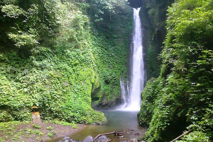 Gitgit Waterfall Tour Bali — Aling-Aling, Gitgit & Hidden Falls with Private Transport photo 6