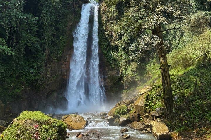 Gitgit Waterfall Tour Bali — Aling-Aling, Gitgit & Hidden Falls with Private Transport photo 3