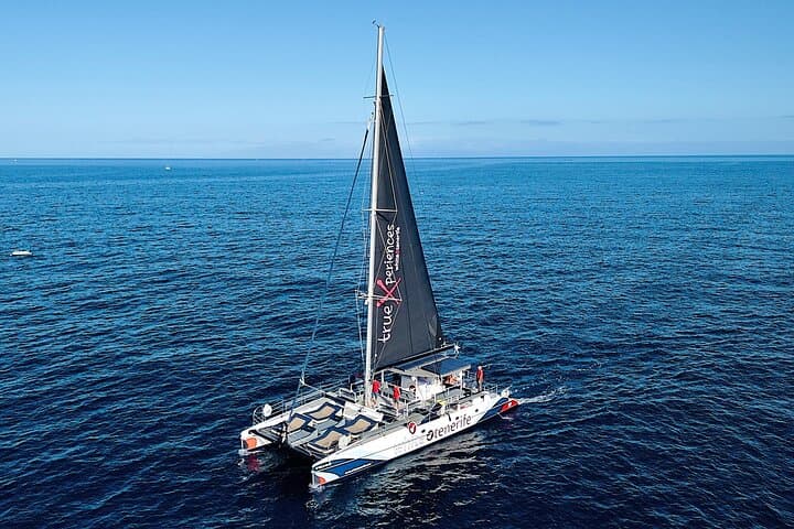 Tenerife Eco-Catamaran Whale Watching: Listen, Swim, Taste the Atlantic