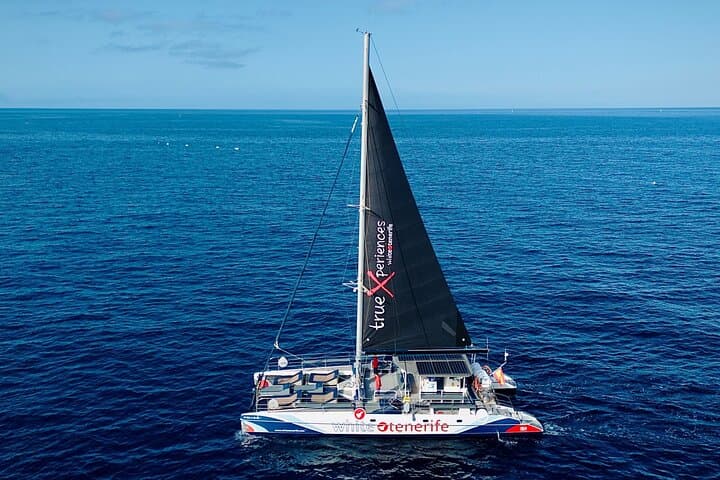 Tenerife Eco-Catamaran Whale Watching: Listen, Swim, Taste the Atlantic photo 2