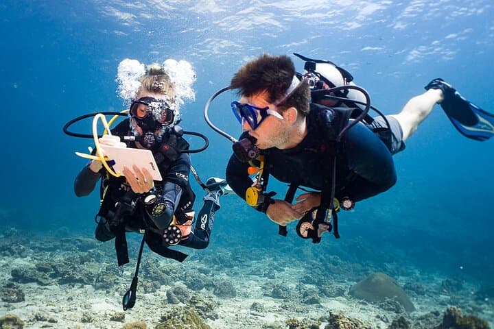 PADI Open Water Course on Phi Phi: Learn to Dive Among Turtles & Reefs photo 3