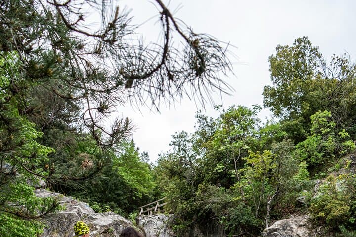 Orlias River Trekking on Mount Olympus: Waterfall Hike & Natural Pools photo 6