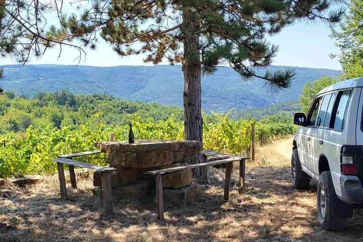 Istria Jeep Wine & Food Safari from Koper: Coastal Vineyards and Truffle Tastings photo 5