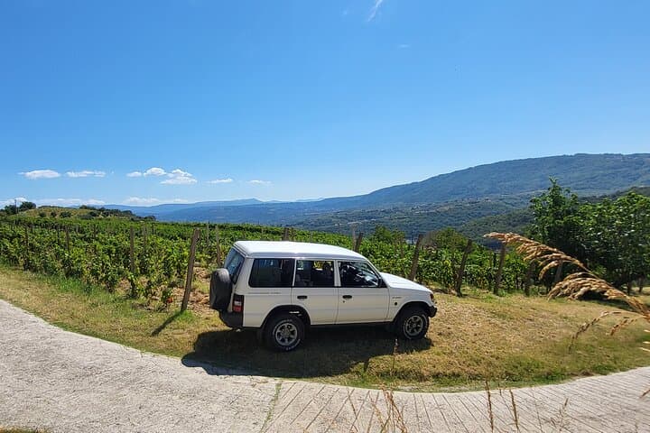 Istria Jeep Wine & Food Safari from Koper: Coastal Vineyards and Truffle Tastings