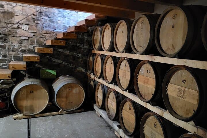Istria Jeep Wine & Food Safari from Koper: Coastal Vineyards and Truffle Tastings photo 2