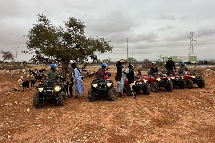 Sunset Quad Biking in Agadir: Dunes, Tree-Climbing Goats & Berber Tea photo 2