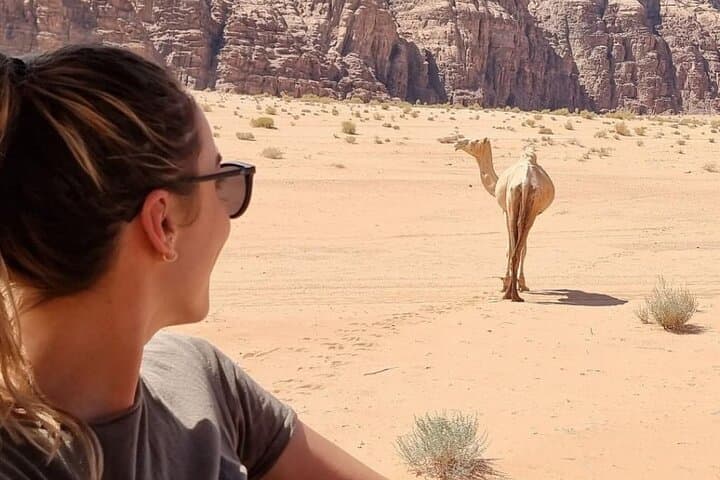 Petra and Wadi Rum Private Guided Day Tour from Dead Sea photo 6