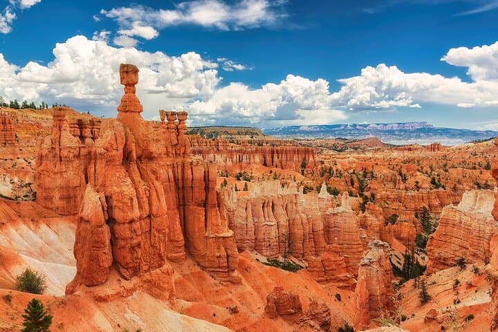 6-Day West Coast National Parks Tour from San Francisco to the Grand Canyon