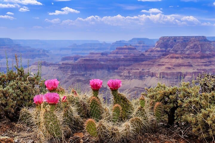 7-Day West Coast Highlights: San Francisco, Yosemite, Grand Canyon & Las Vegas photo 4