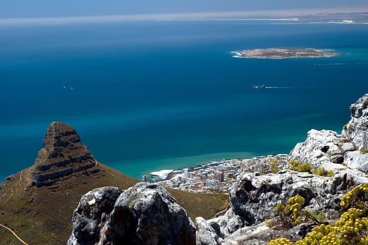 Table Mountain, Cape Point & Boulders Penguins: Private Day Tour from Cape Town photo 3