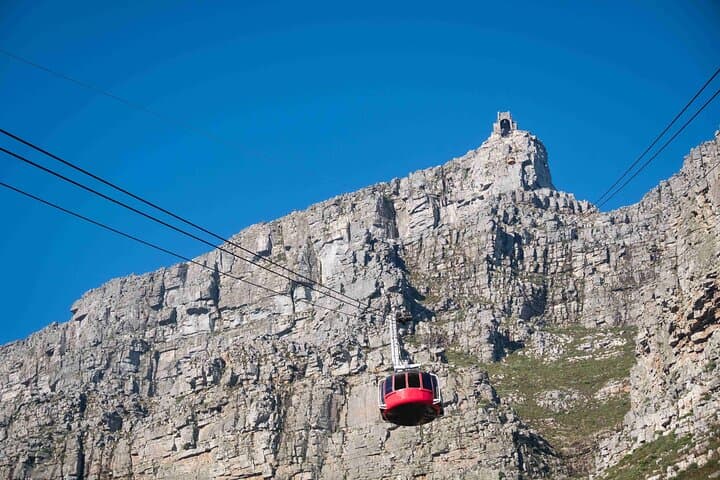 Table Mountain, Cape Point & Boulders Penguins: Private Day Tour from Cape Town