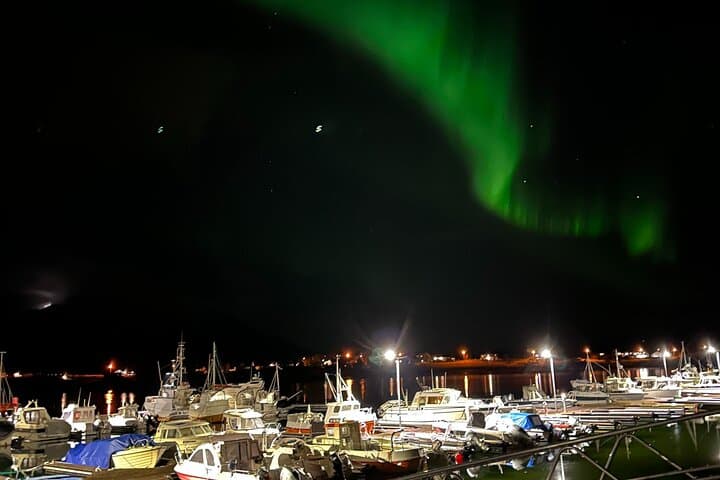 Private Winter Evening Cruise in Nappstraumen — Northern Lights from Leknes photo 4