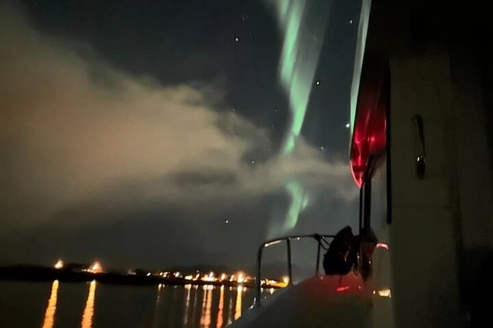 Private Winter Evening Cruise in Nappstraumen — Northern Lights from Leknes
